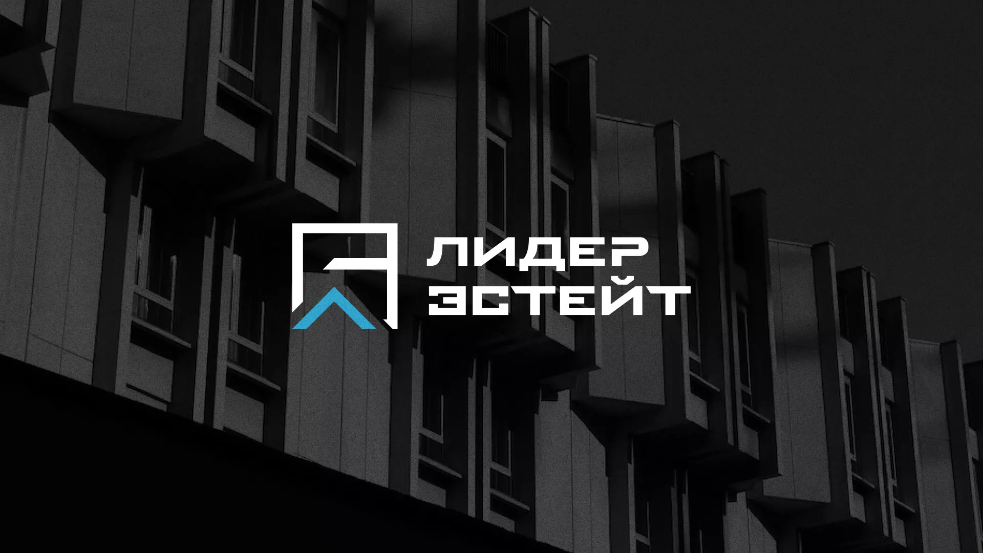 Разработка логотипа агентства недвижимости «Лидер Эстейт» в Буйнакске
